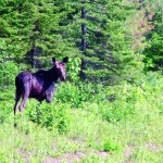 SP4_IMG_7213 SP4_IMG_7213